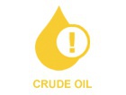 What Did Crude ...
