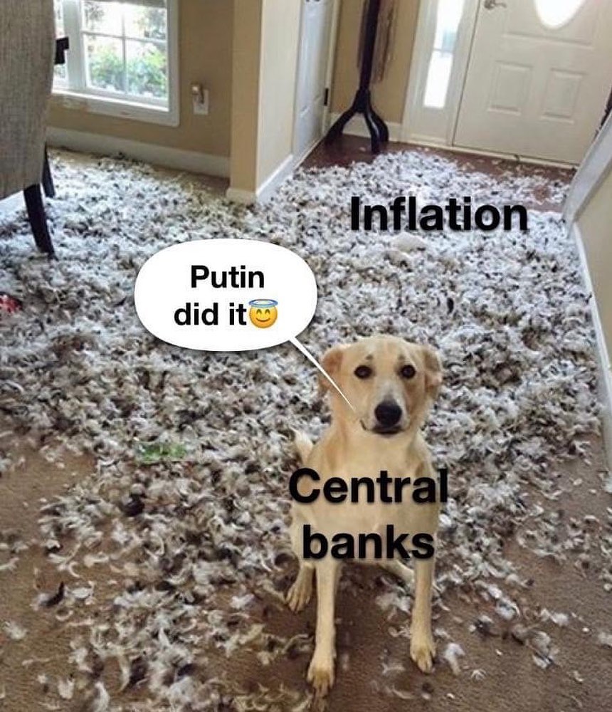 May be an image of dog and text that says 'Inflation Putin did it Centra banks'